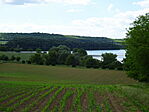 DSC07314