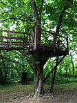 DSC07319