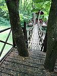 DSC07332
