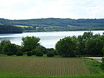 DSC07335