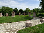 DSC07593