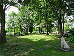 DSC07596