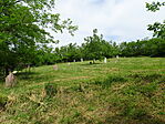 DSC07624