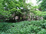 DSC07635
