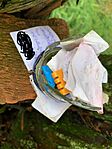 IMG_1504