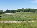 IMG_20240501_131153