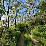 IMG_20240501_172658