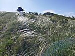 IMG_20240501_164356
