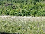 IMG_20240501_164110
