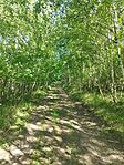 IMG_20240501_160107
