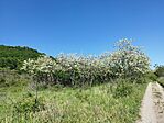 IMG_20240501_154502
