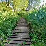 IMG_20240501_181551