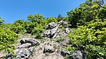 IMG_20240501_121416