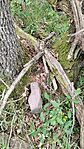 IMG_20240511_124605