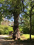 IMG_9148