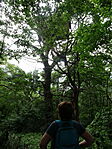 DSC09019