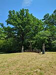 IMG_20240511_132222_877.jpg_compressed