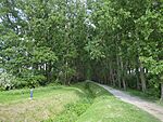 IMG_20240511_161158_704.jpg_compressed
