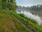IMG_20240518_065849_812.jpg_compressed
