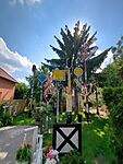 IMG_20240518_154615_524.jpg_compressed