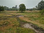 GCSZIK_osveny2_IMG_20240525_074336_163