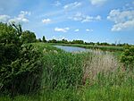 IMG_20240525_140522_328.jpg_compressed