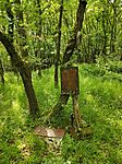 IMG_20240523_154032