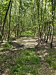 IMG_20240523_151937
