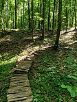 IMG_20240501_114036