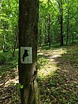 IMG_20240501_112217