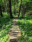 IMG_20240501_114022
