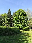 IMG_20240429_162231