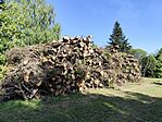 IMG_20240429_161904