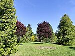 IMG_20240429_160610
