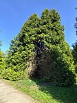 IMG_20240429_160328