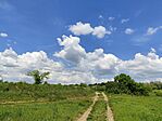 IMG_20240504_131156