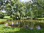 IMG_20240504_133543