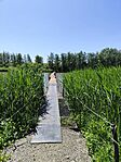 IMG_20240509_134951