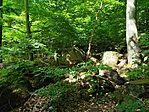 IMG_20240512_101806