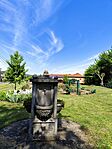 IMG_20240516_104858