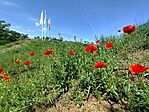 IMG_20240526_104115