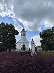 IMG_20240530_140837