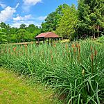 received_1854241871744931