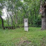 received_294706530383817