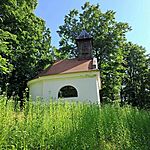 received_1532684574331987