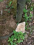 IMG_20240502_123240762