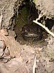 IMG_20240502_123546298