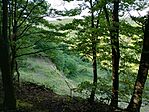 IMG_20240504_170558705_HDR