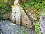 IMG_20240514_120326