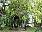 DSCN8304